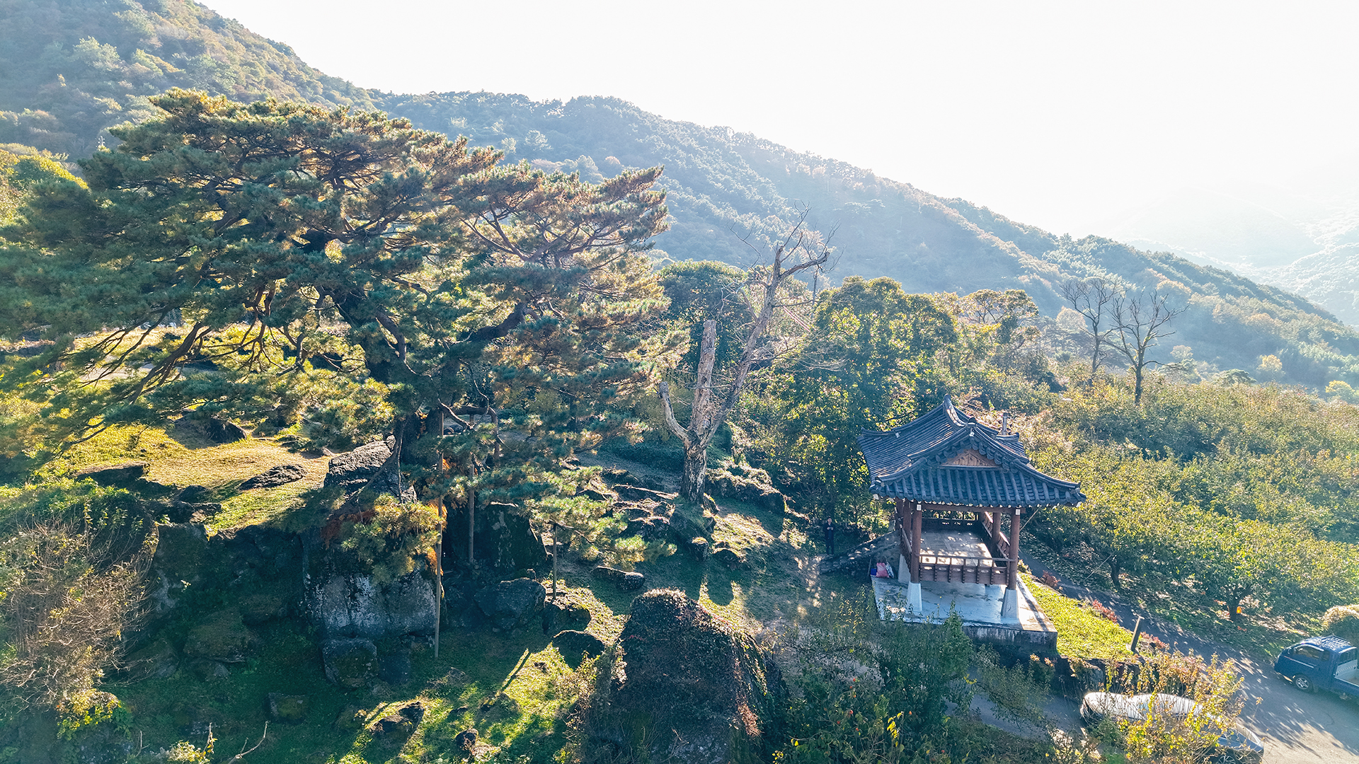 하동 축지리 문암송